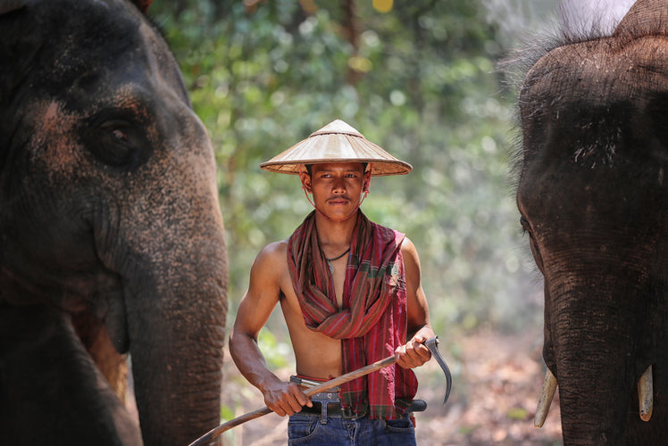 An Ultimate Travel Guide to Thailand
